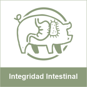 Integridad intestinal