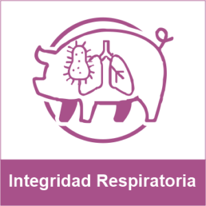 Integridad respiratoria