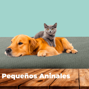 Línea pequeños animales