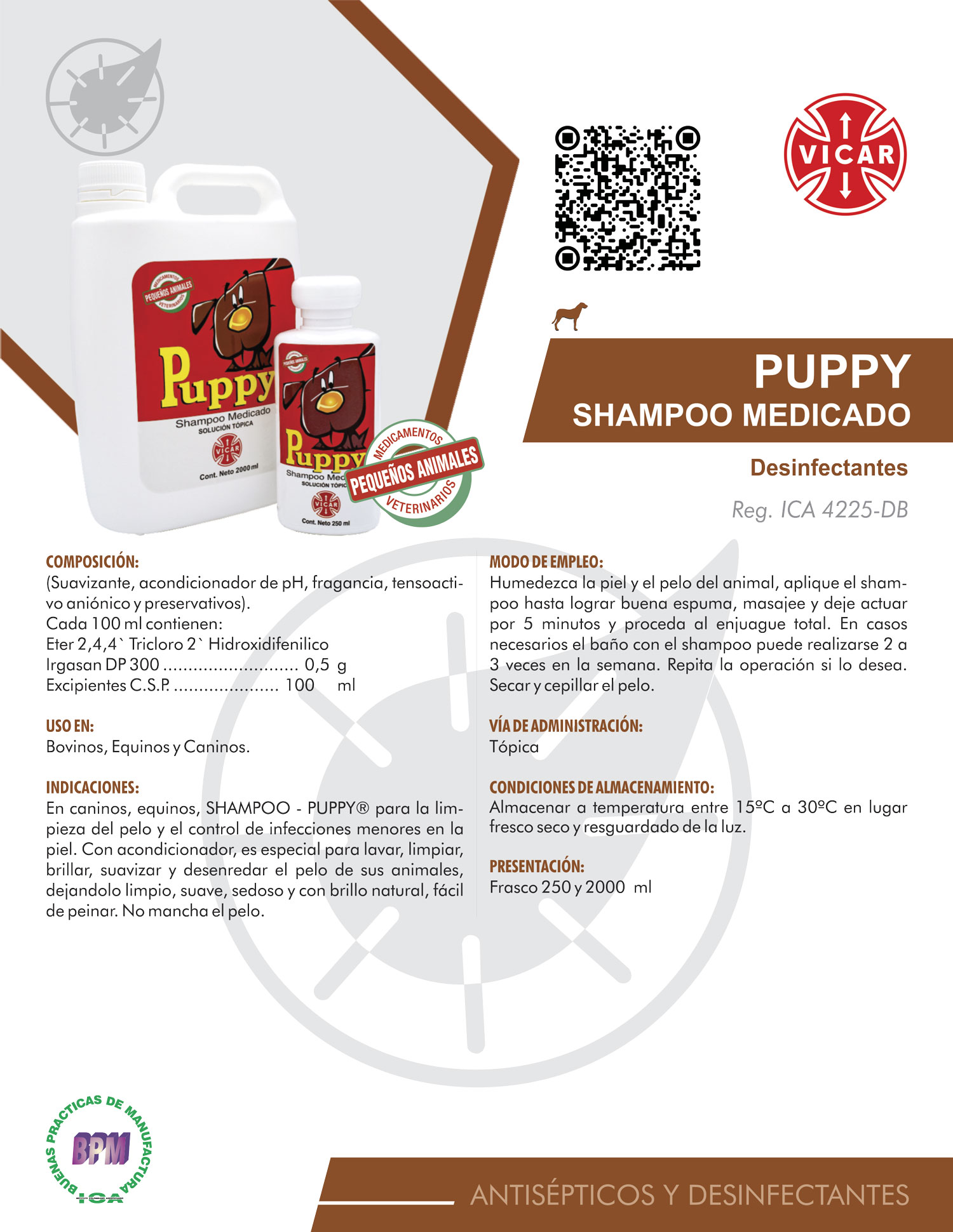 PUPPY SHAMPOO MEDICADO
