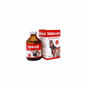 MELOVET