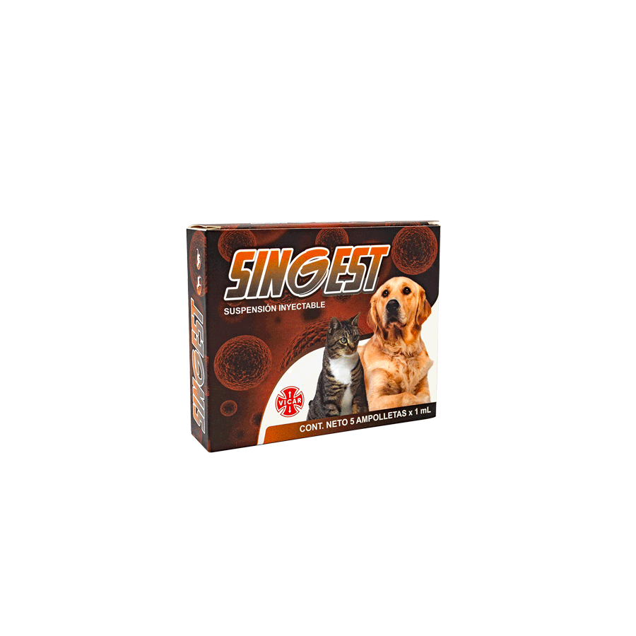 singest SINGEST